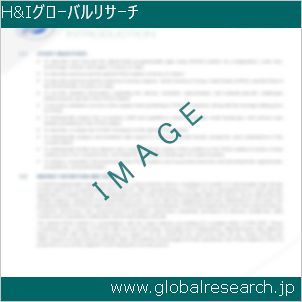 グローバルリサーチ調査レポートのイメージ